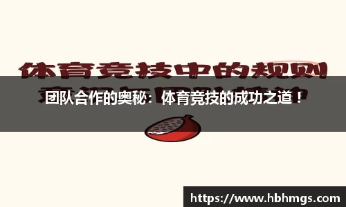球探看球NBA直播